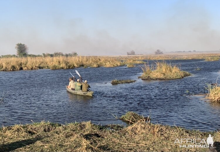 Hippopotamus Hunt Namibia