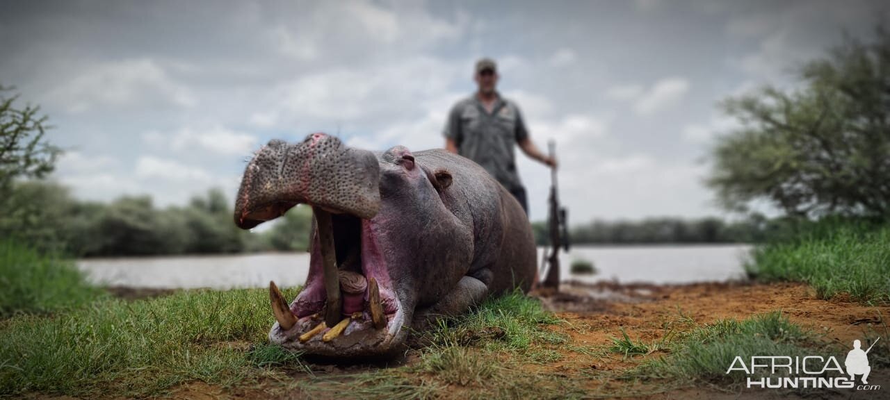 Hippopotamus Hunt South Africa