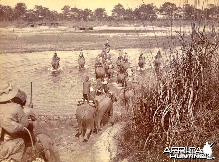 His Imperial Majesty's Shoot, Nepal 1911