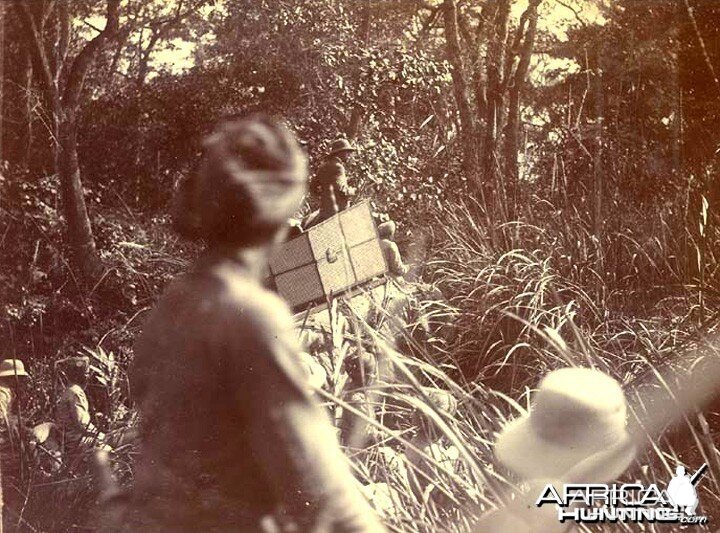 His Imperial Majesty's Shoot, Nepal 1911