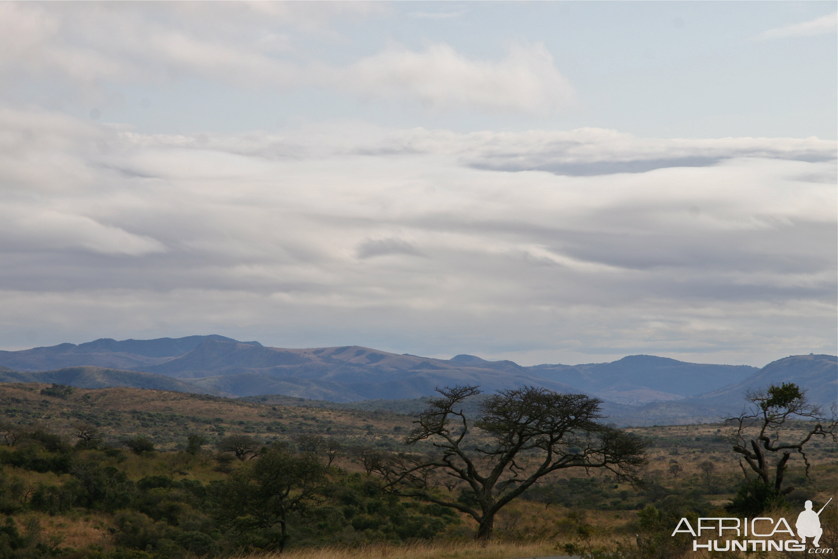 Hluhluwe Landscape