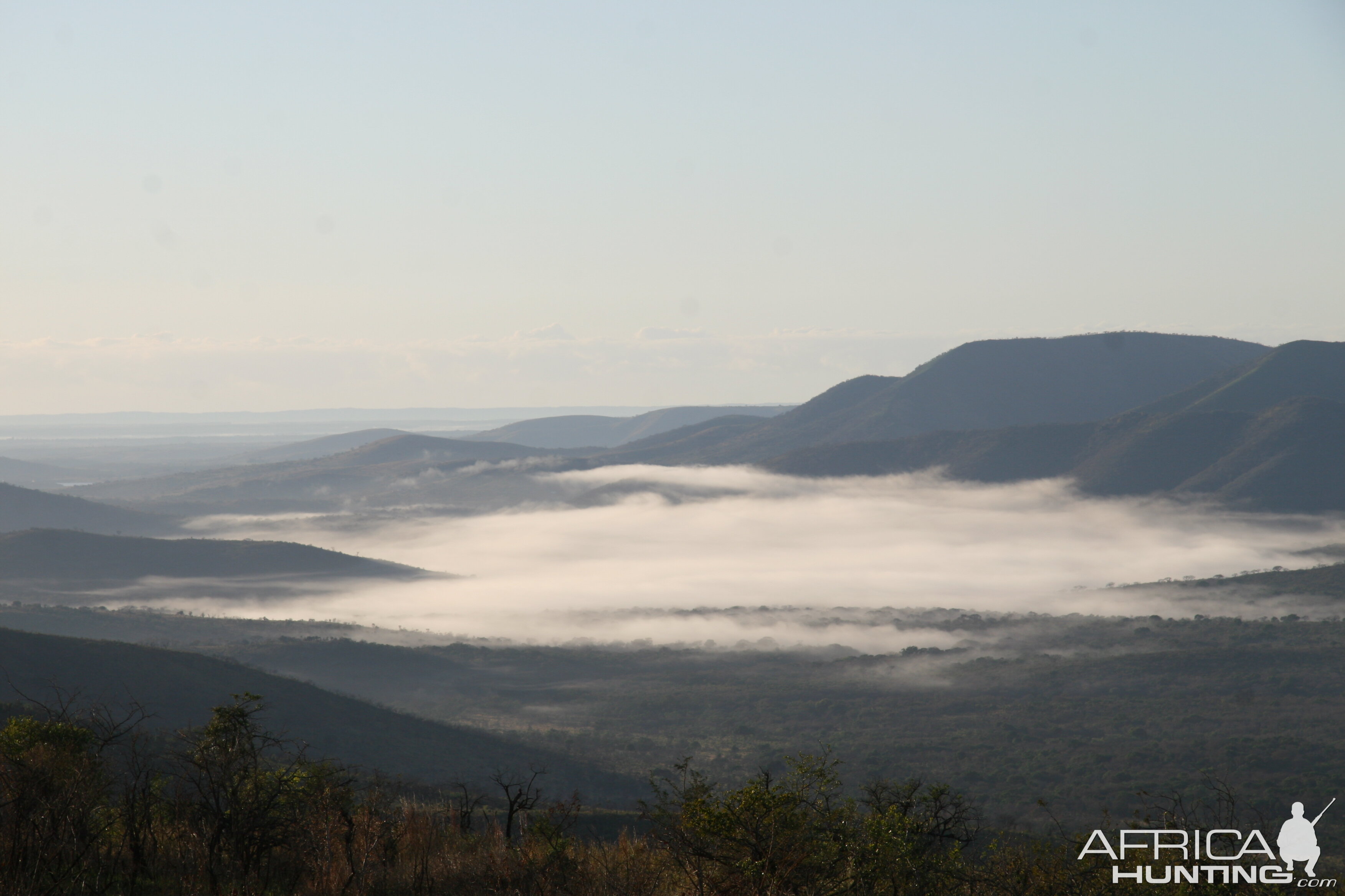 Hluhluwe Mist