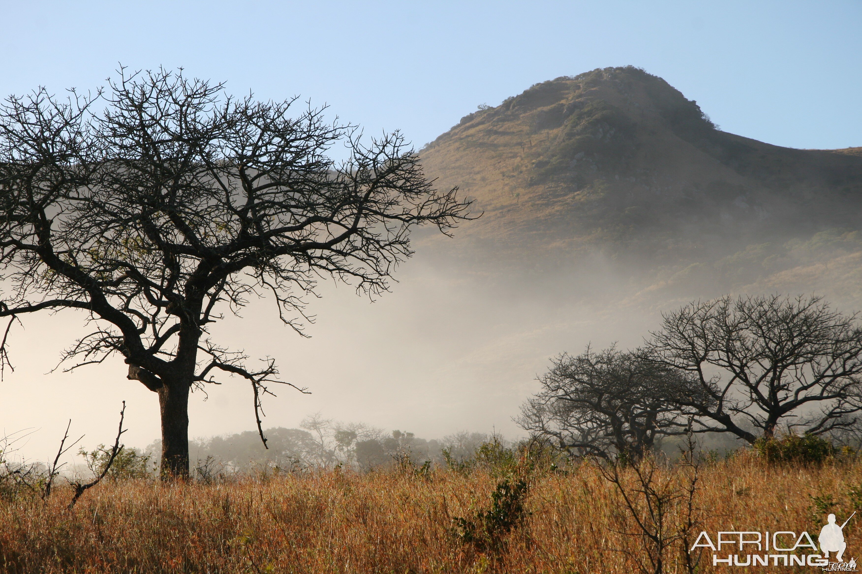 Hluhluwe Shadow