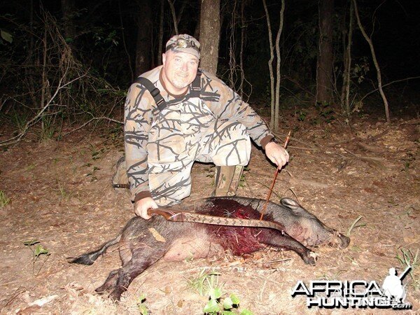 Hog Bowhunting