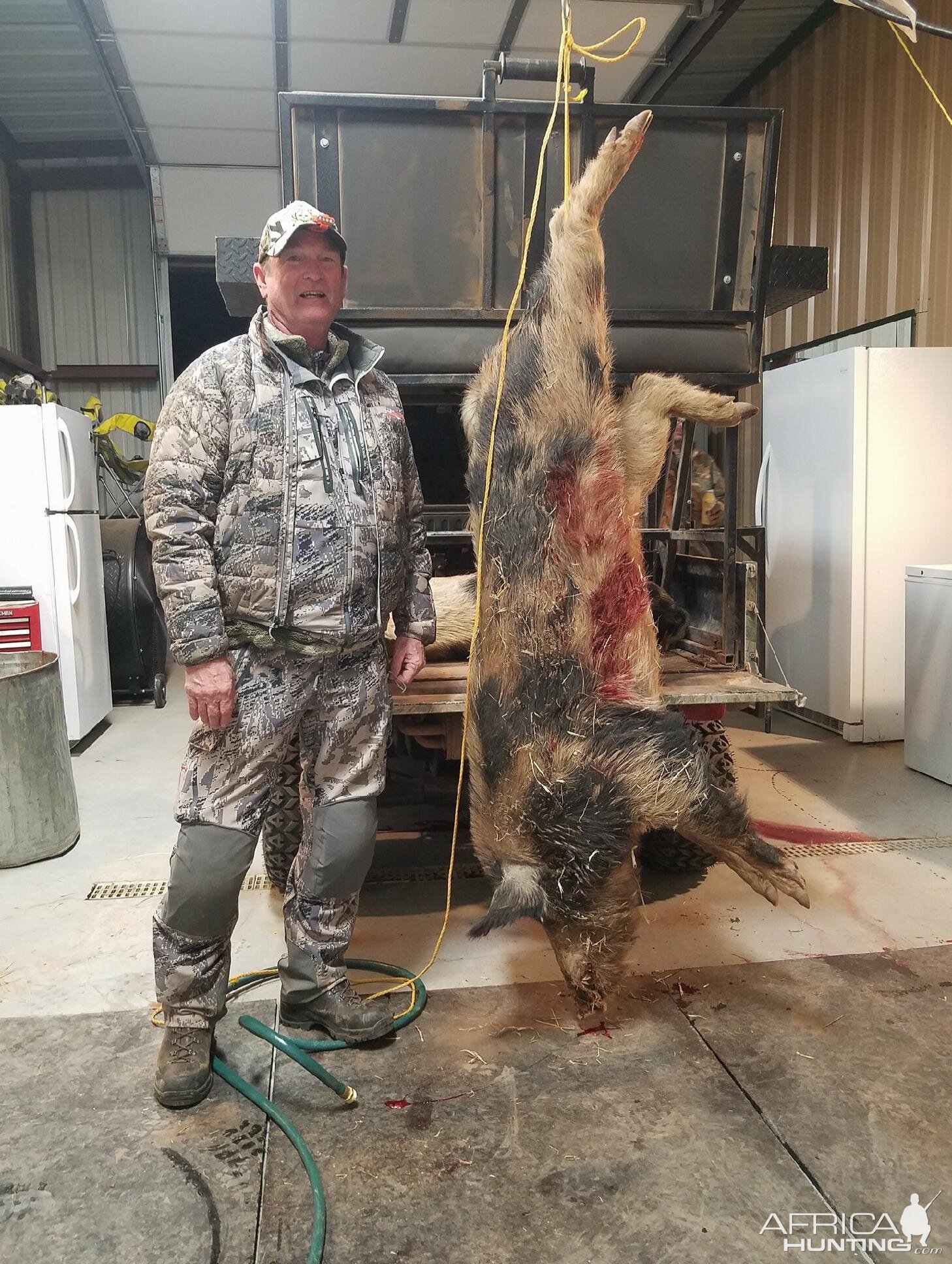 Hog Hunt Texas