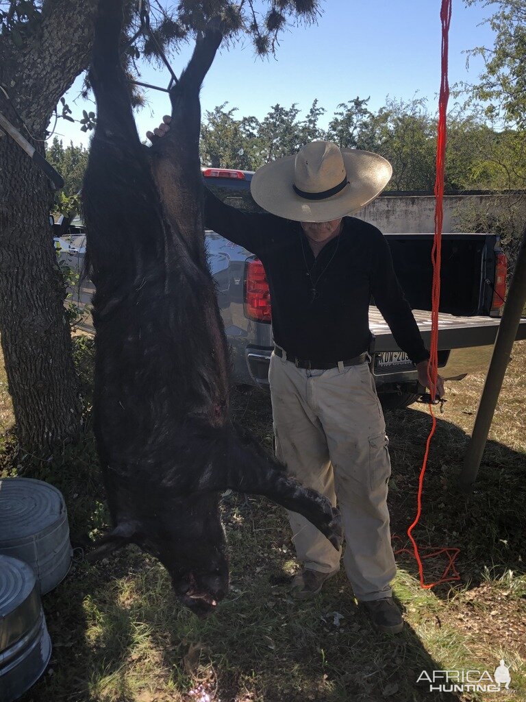 Hog Hunt USA