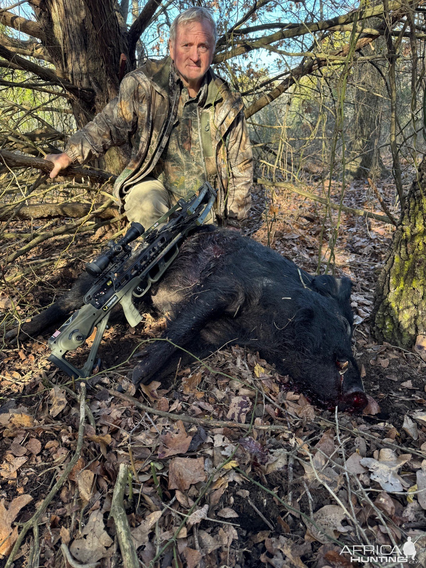 Hog Hunting