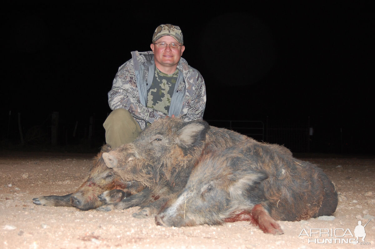 Hog Hunting