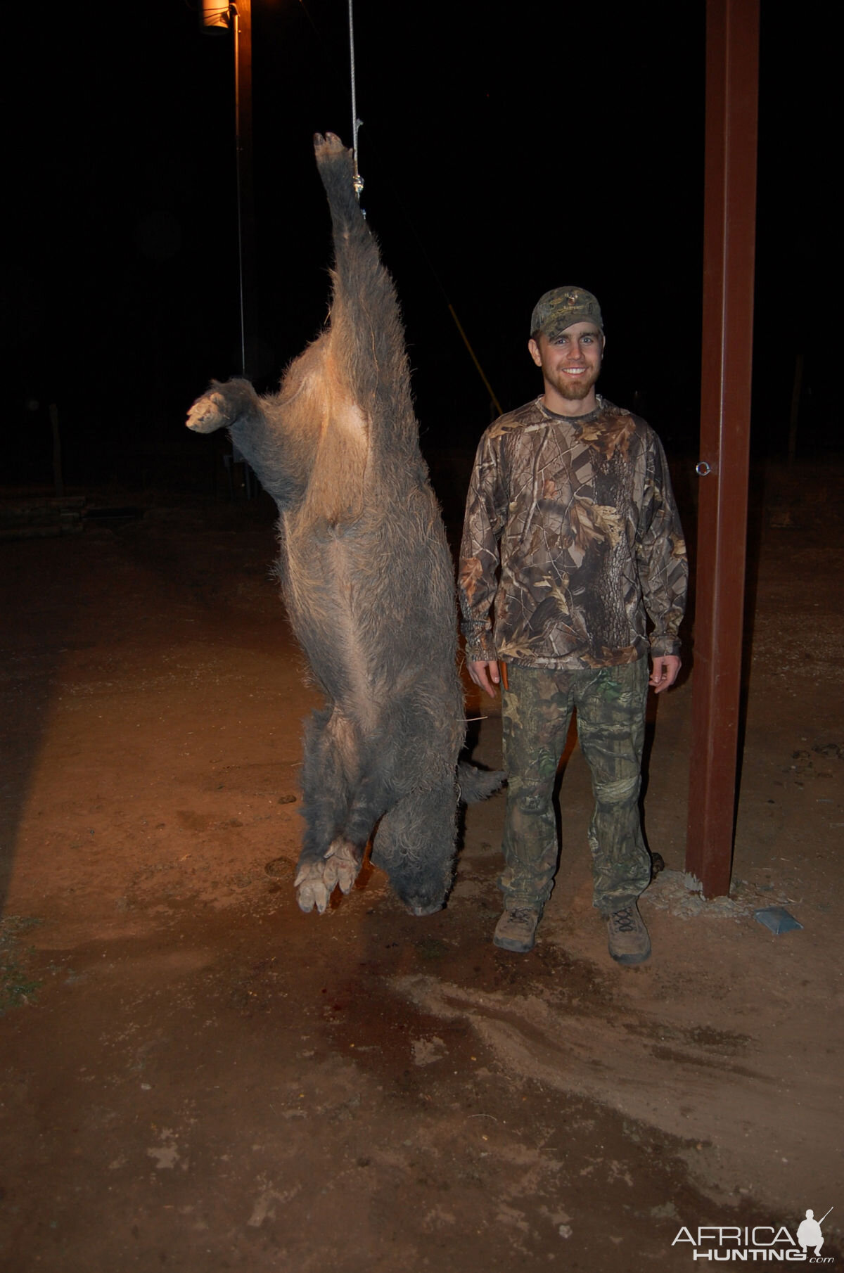 Hog Hunting