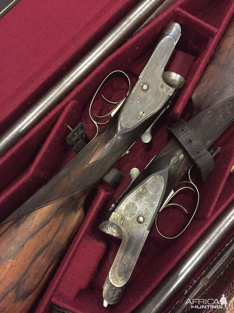 Holland & Holland pair shotguns