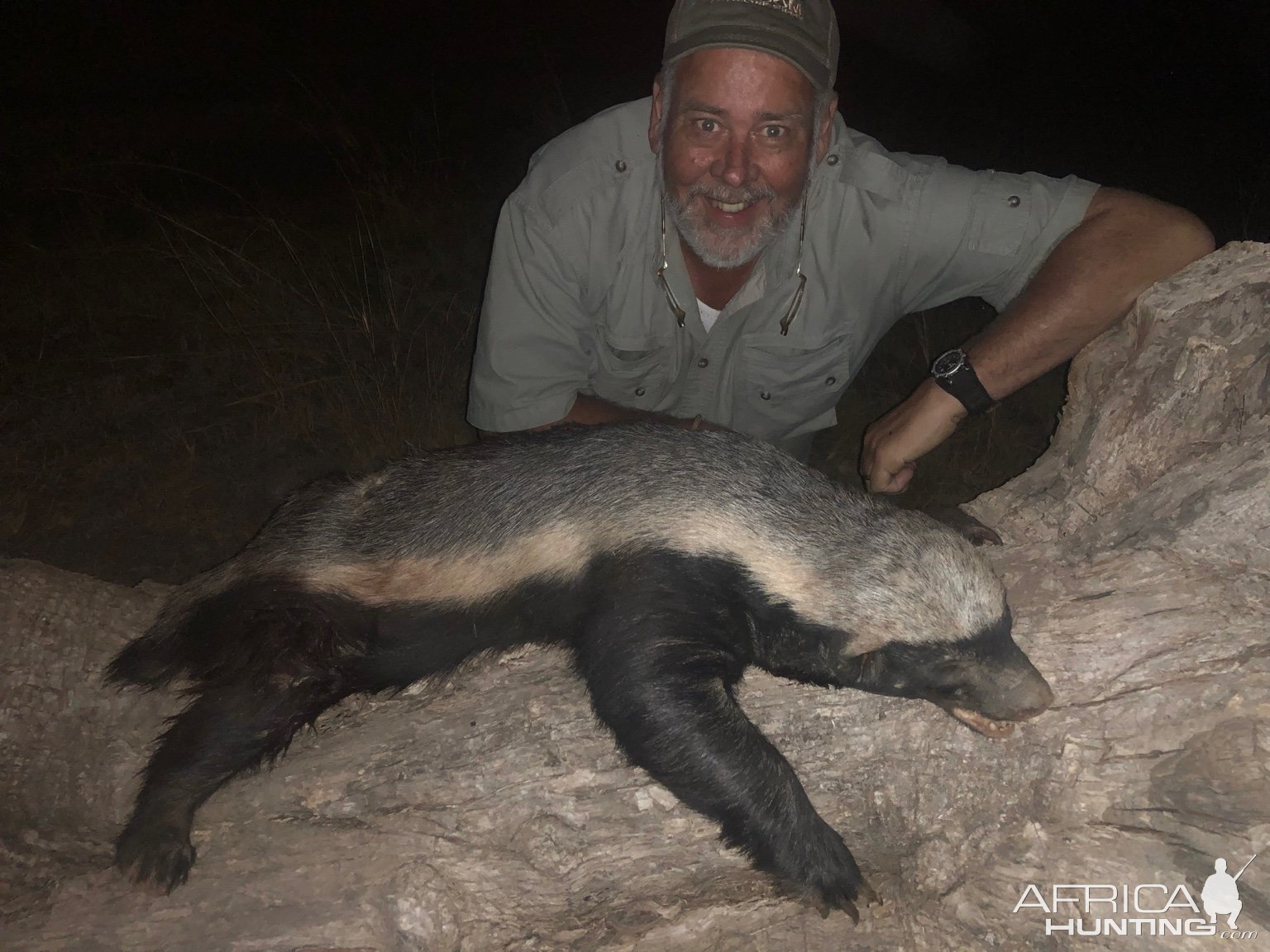 Honey Badger Hunt South Africa