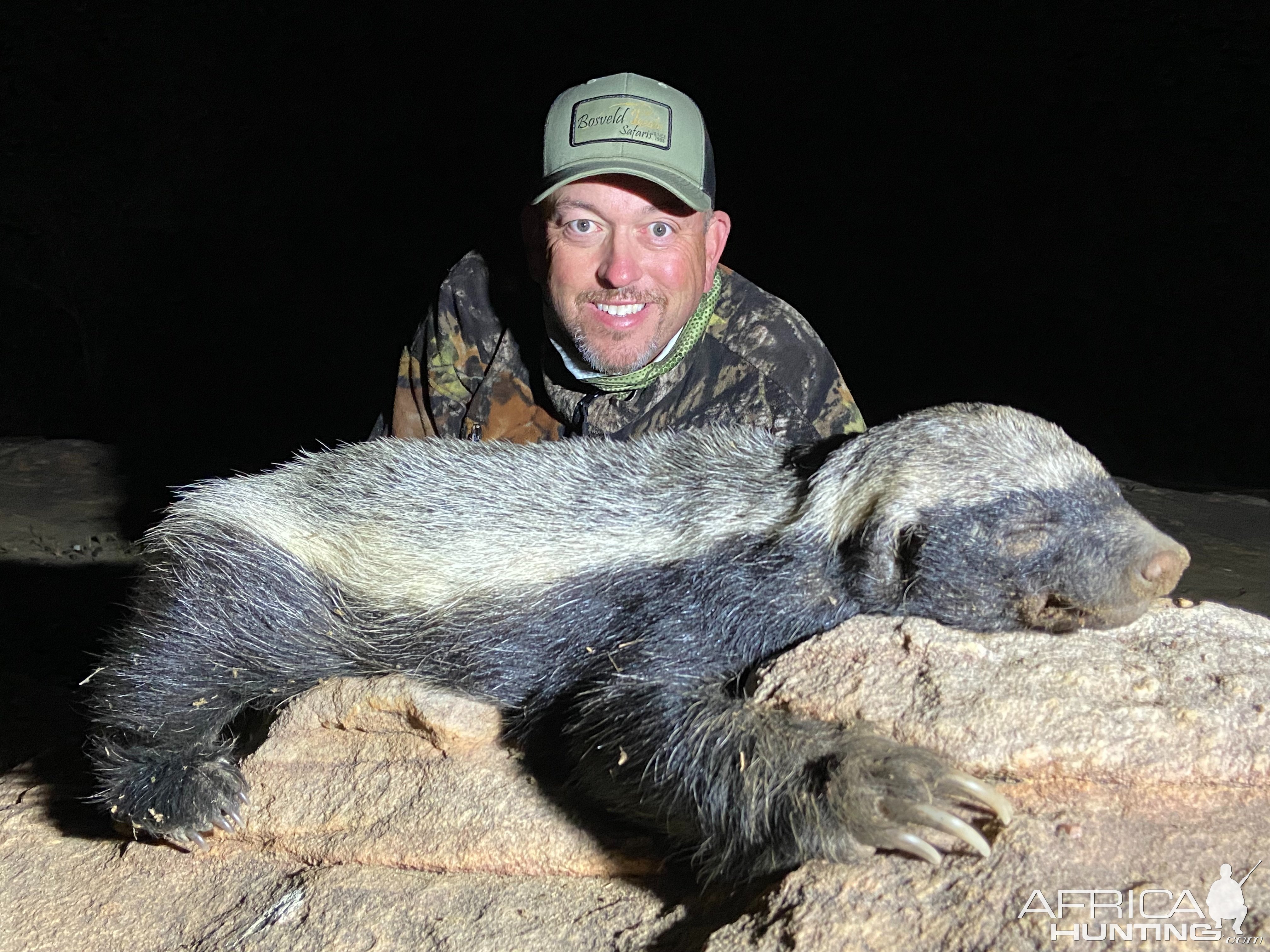 Honey Badger Hunt South Africa