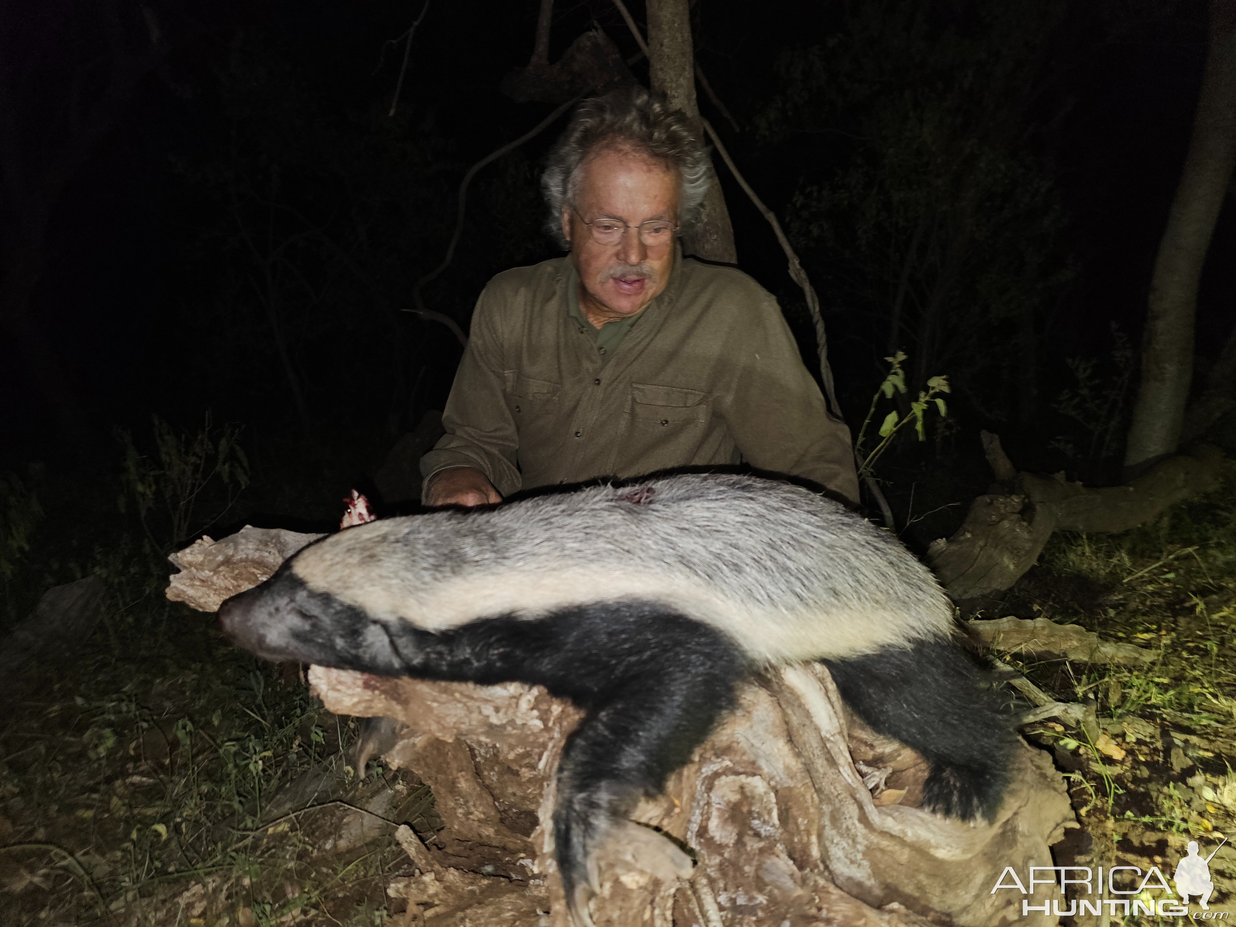 Honey Badger Hunt South Africa