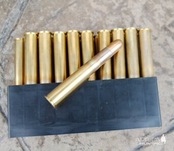 Hornady .470 gr DGS 500 grain solids