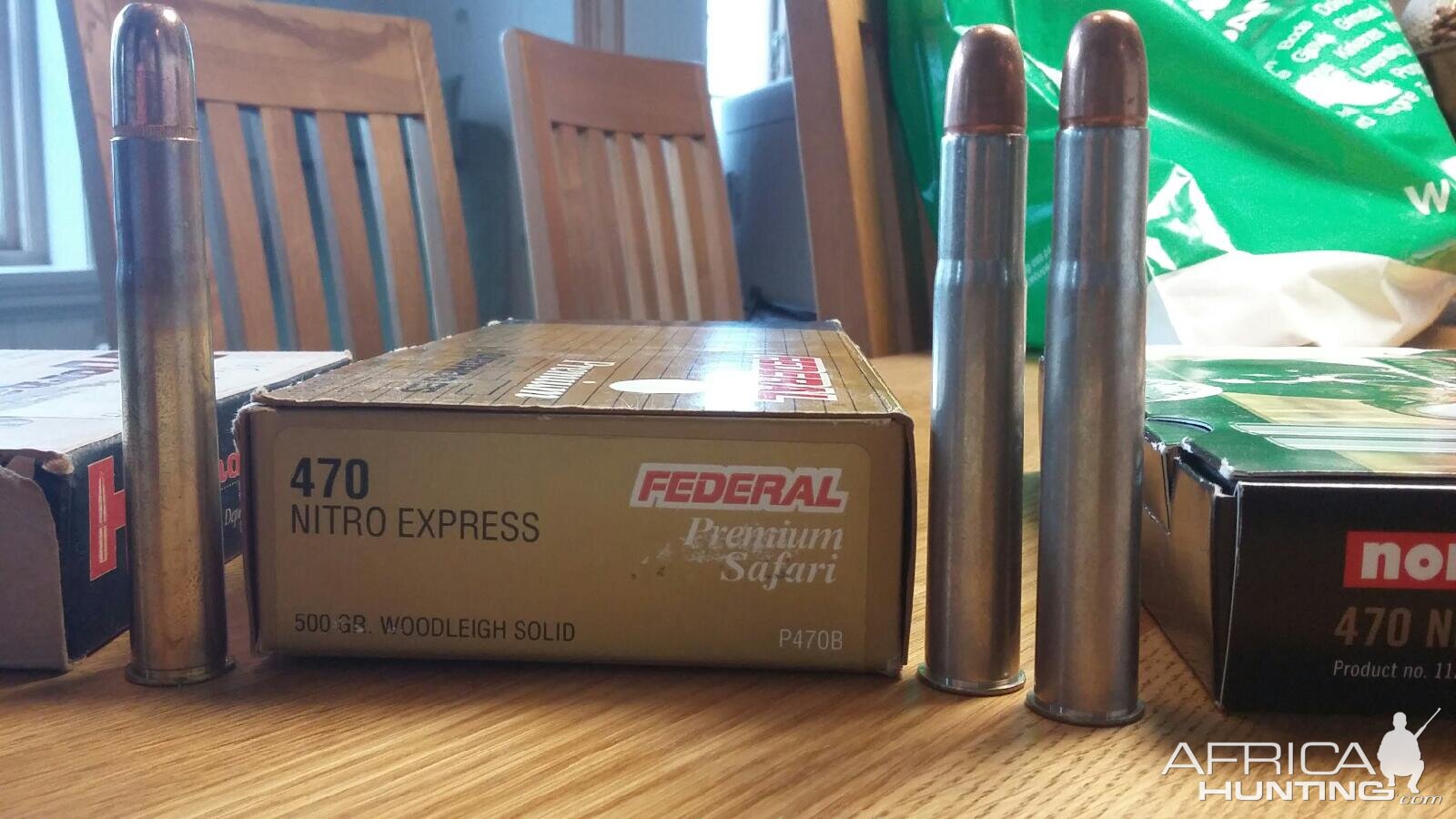 Hornady 500 grain DGS (Soft) & Federal 500 grain Woodleigh (Solid)