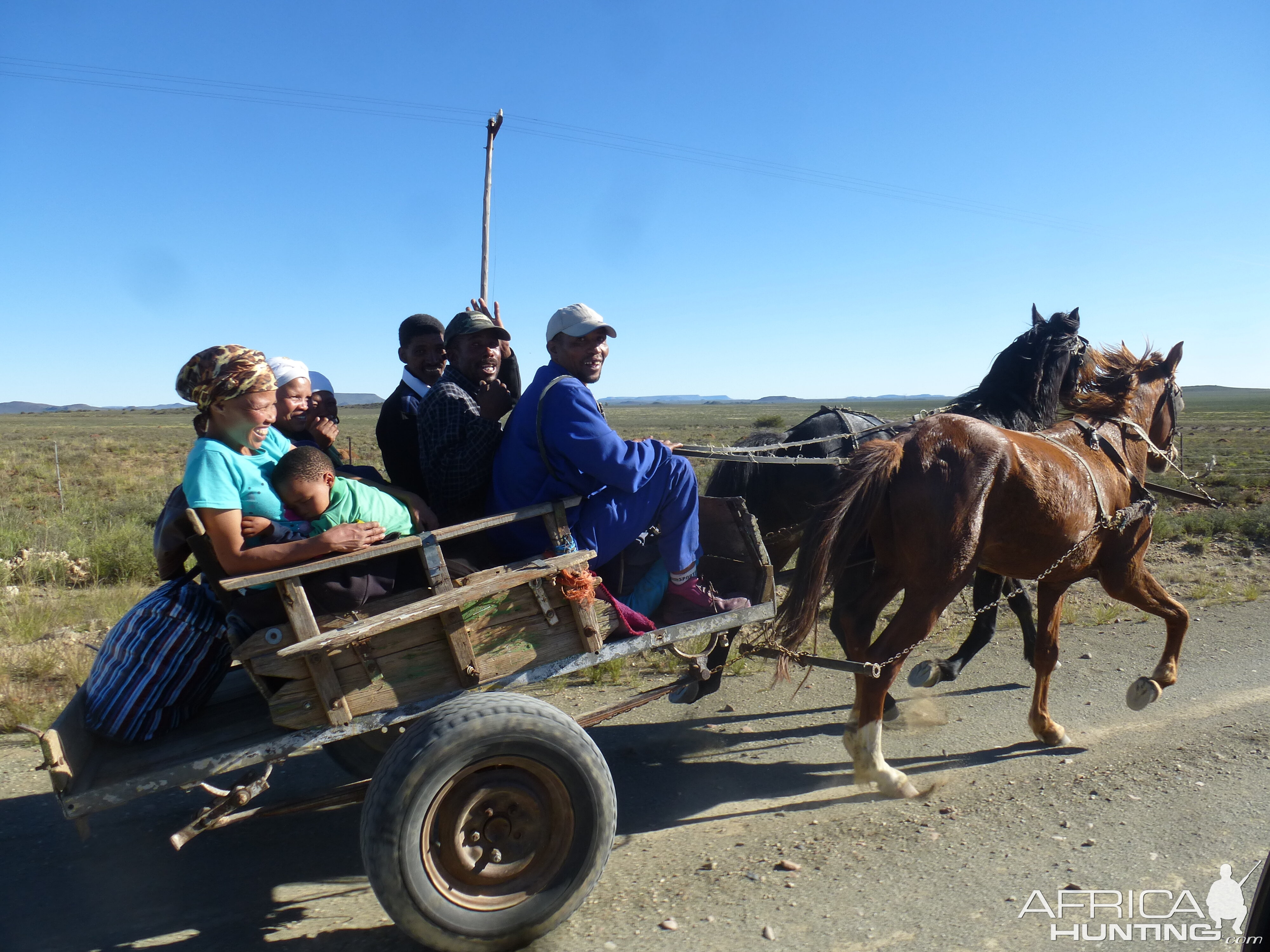 Horse Cart