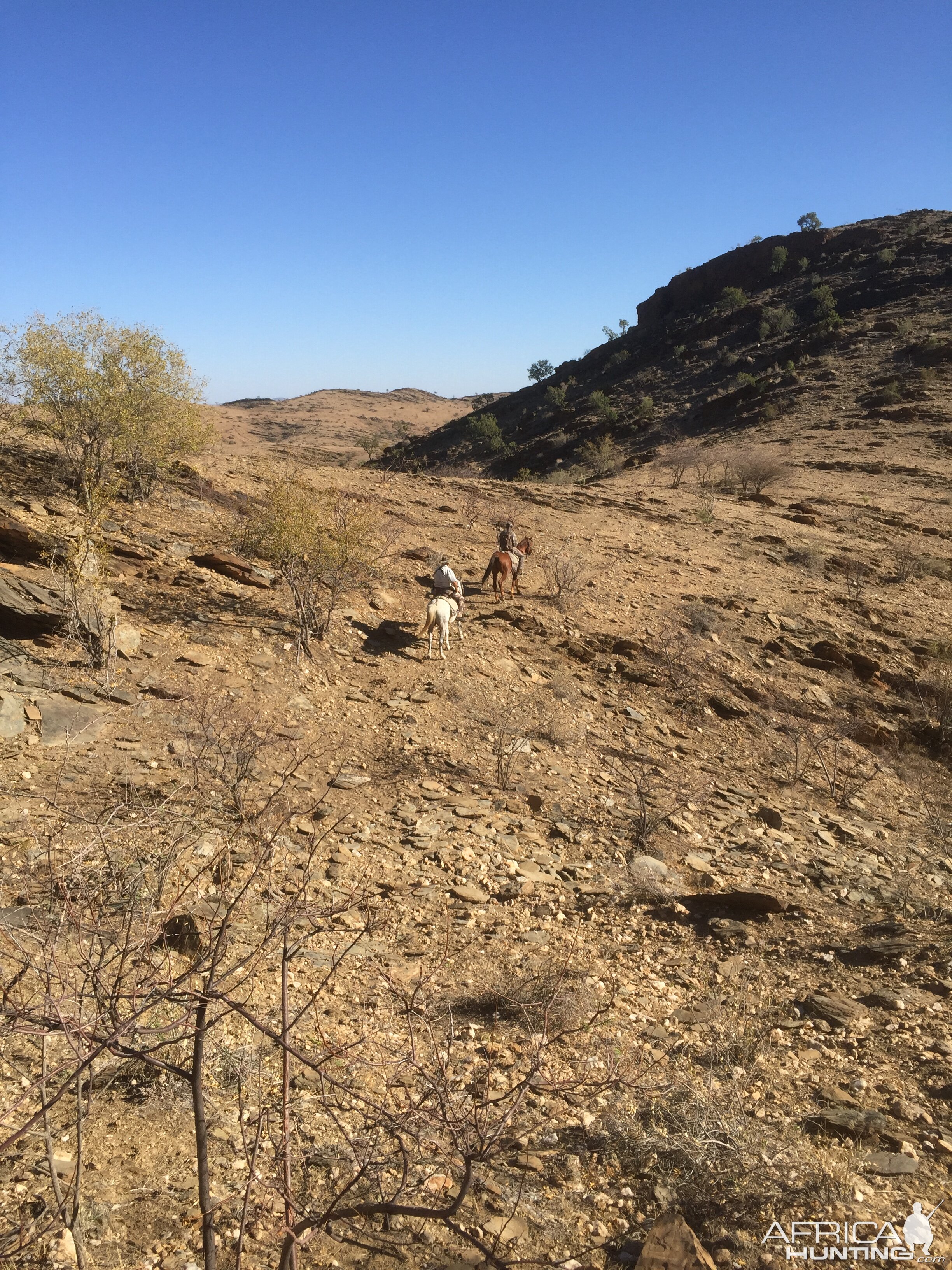 Horseback Hunt Namibia