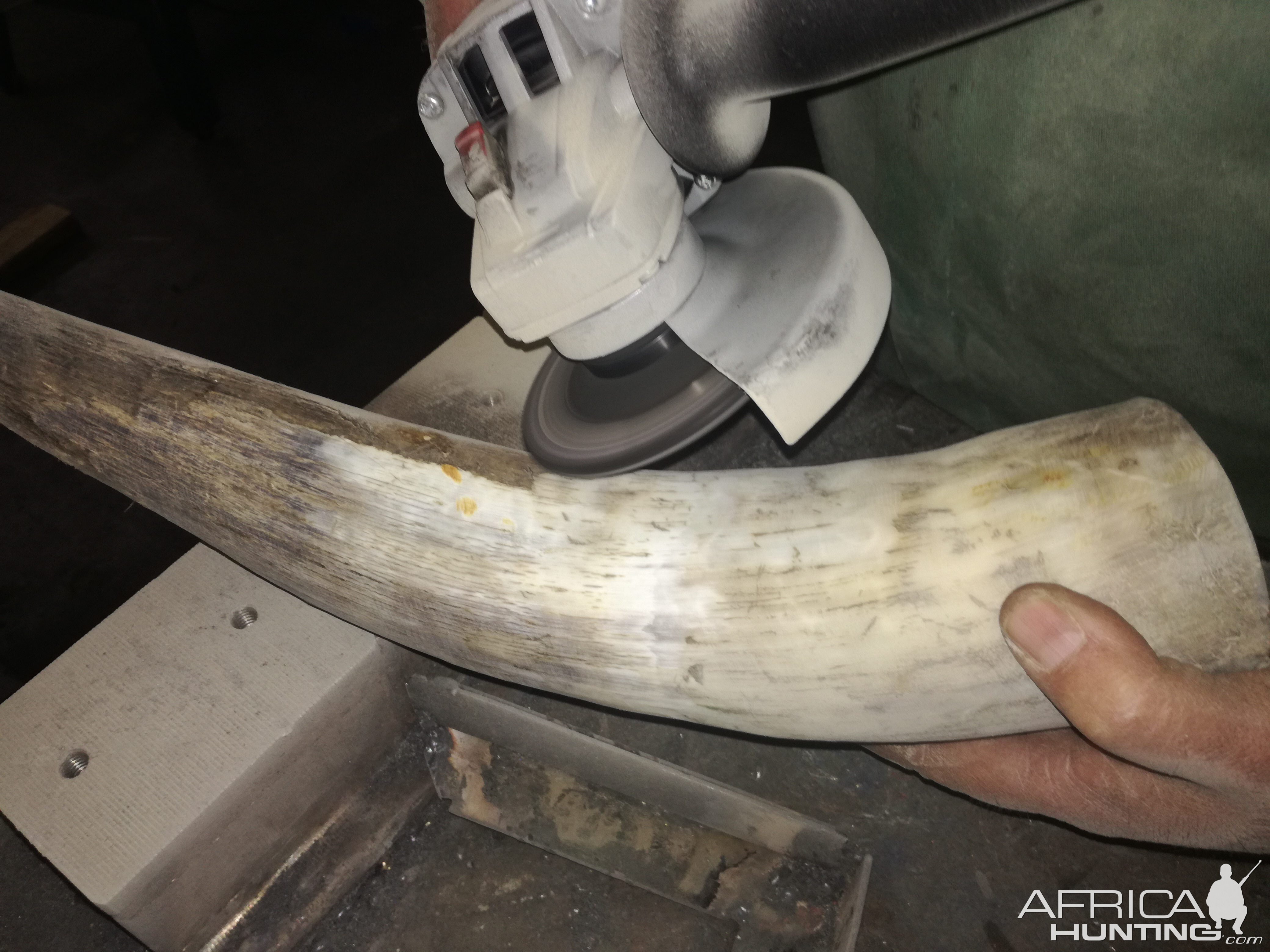 How I make a Powder horn for the 1884 Era Black Powder hunt