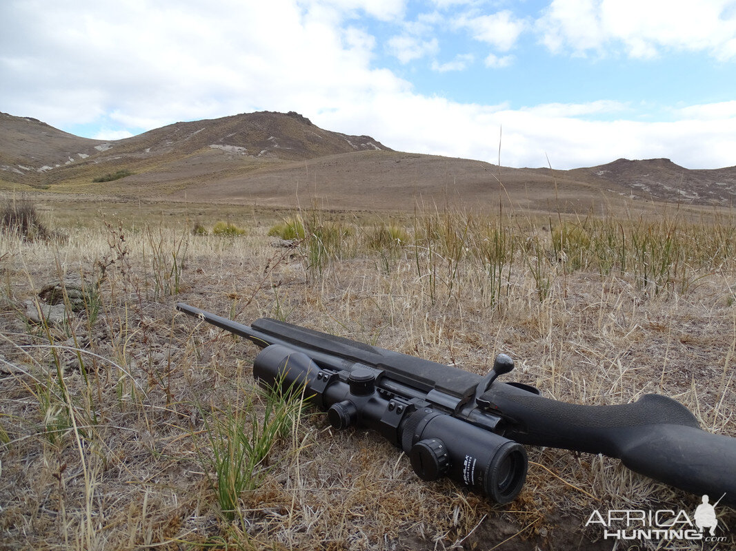 Howa In 308 Rifle