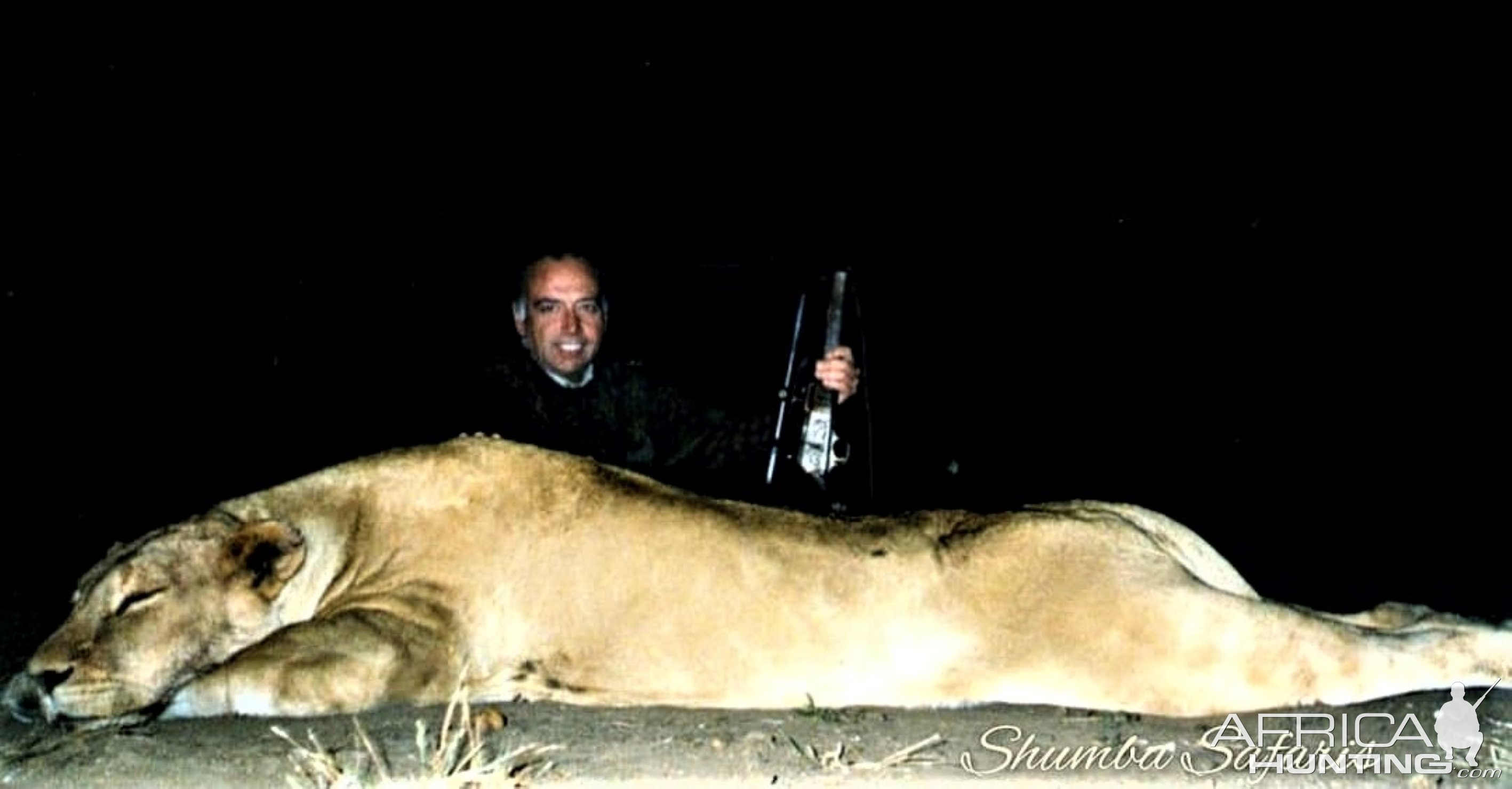 Huge lioness-APNR, South Africa