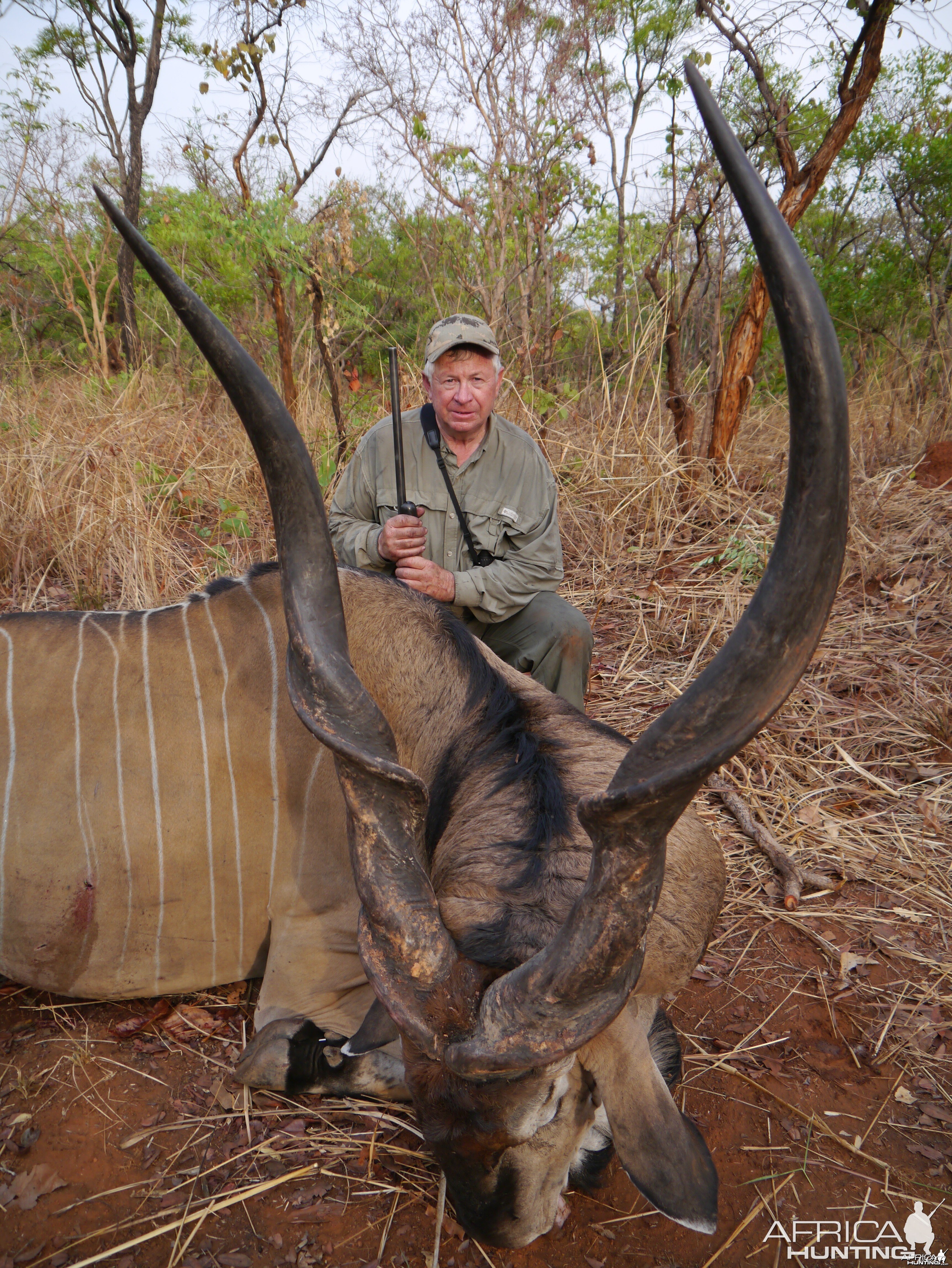 Huge Lord Derby Eland hunted in CAR with PH Francois Guillet