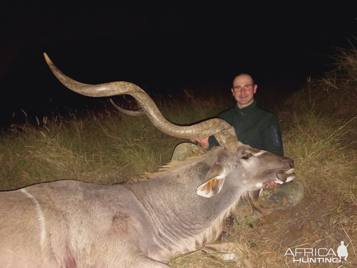 Huge Neck Kudu