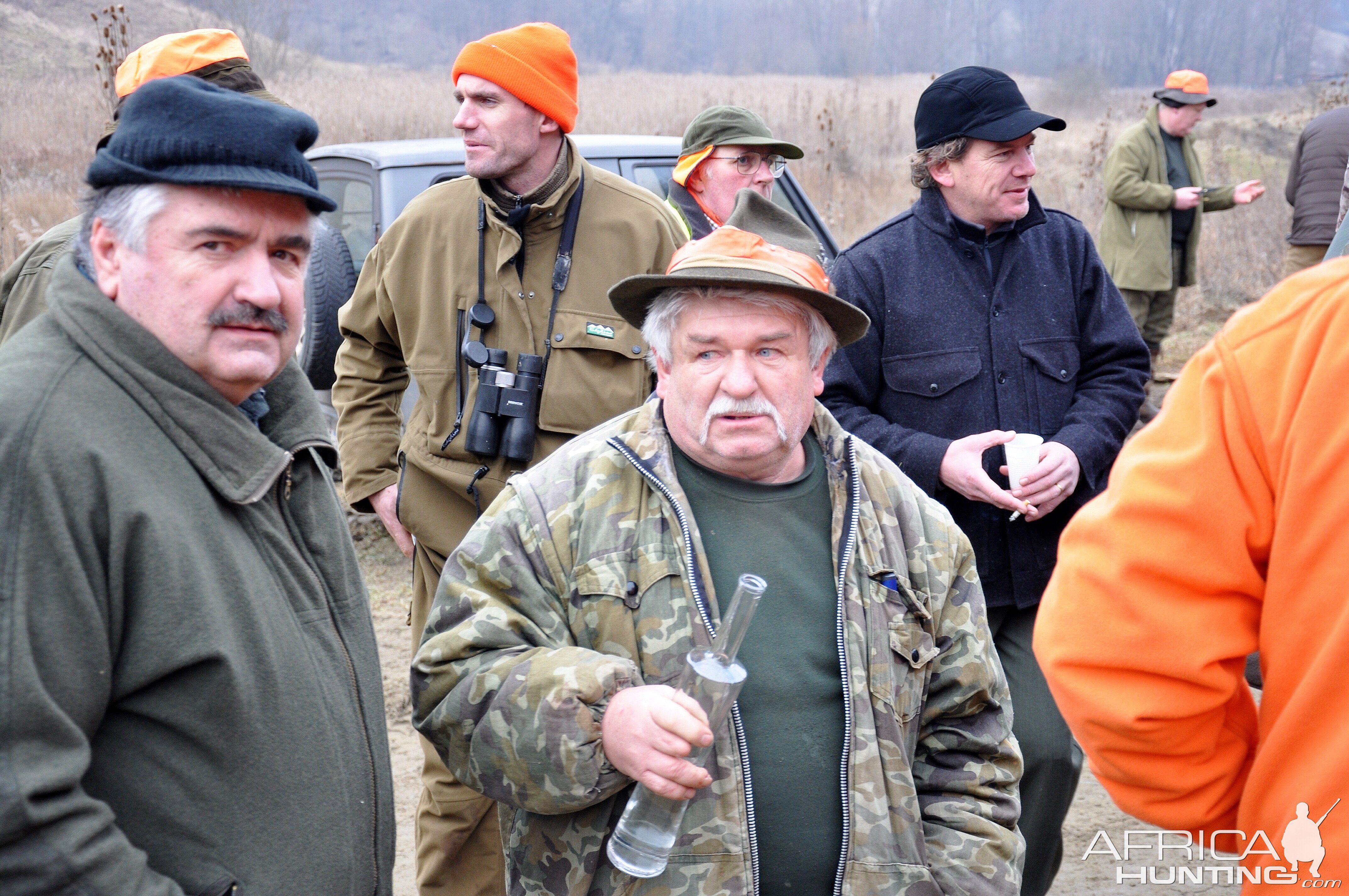 hungary driven boar hunt January 2015