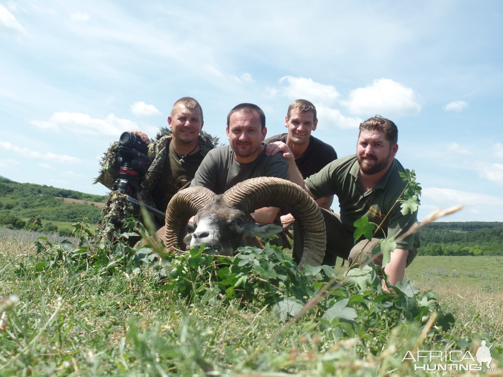 Hungary Hunt Mouflon