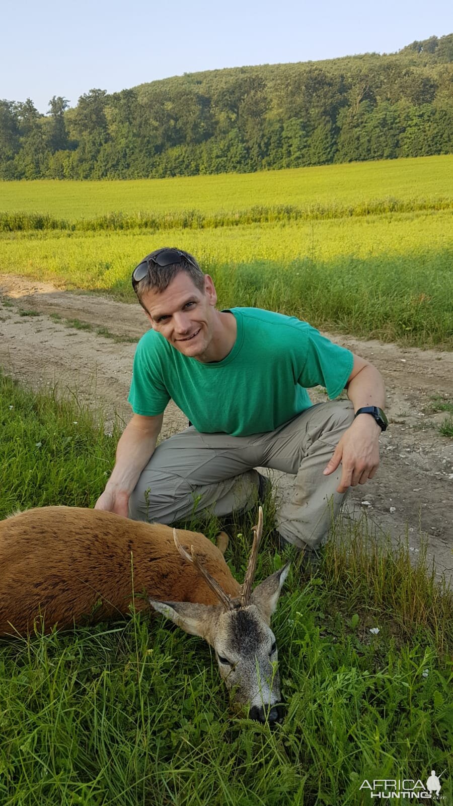 Hungary Hunt Roe Deer