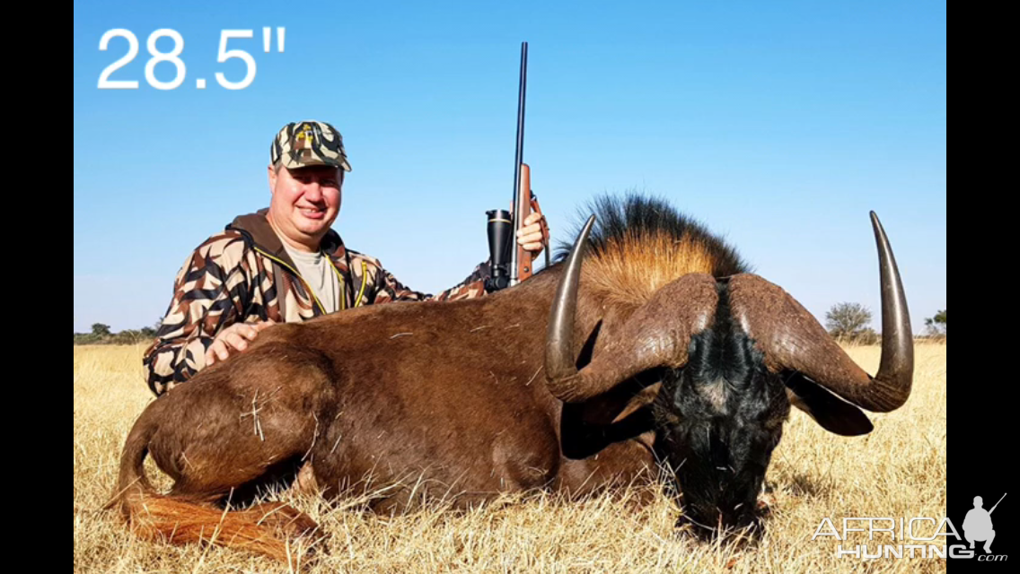 Hunt 28.5" Inch Black Wildebeest South Africa