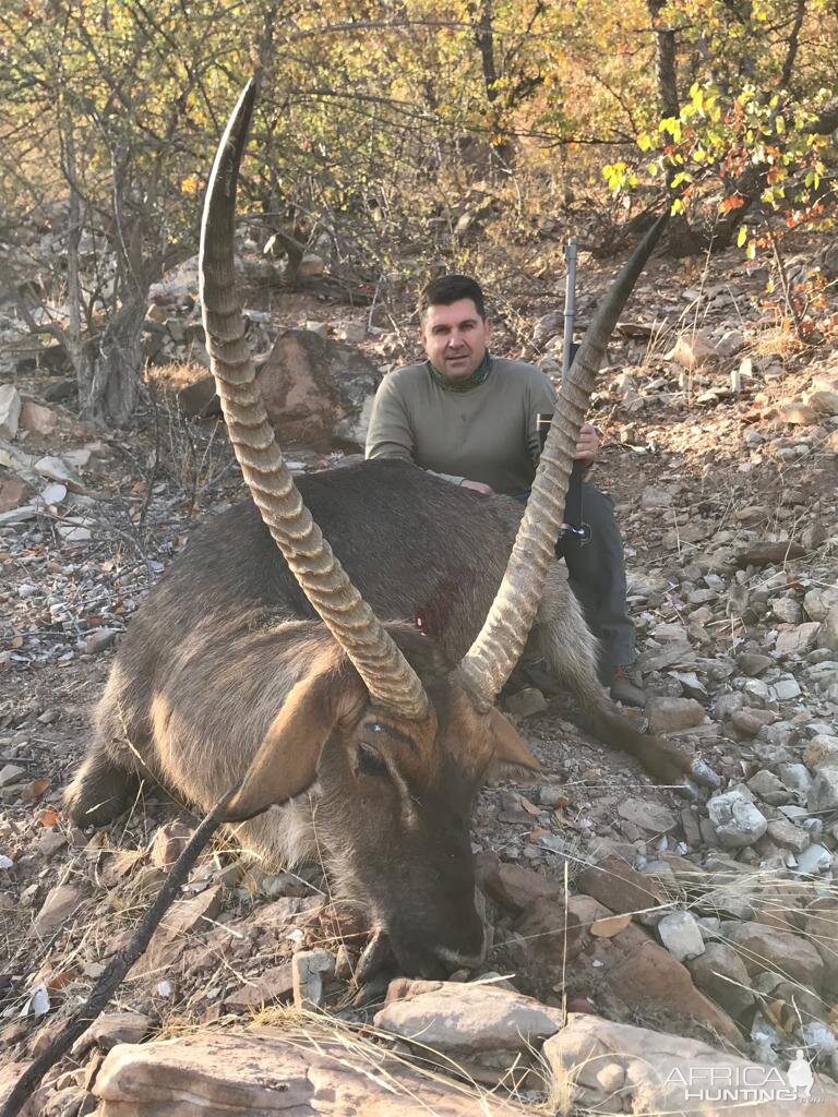 Hunt 32 5/8" Inch Waterbuck in South Africa