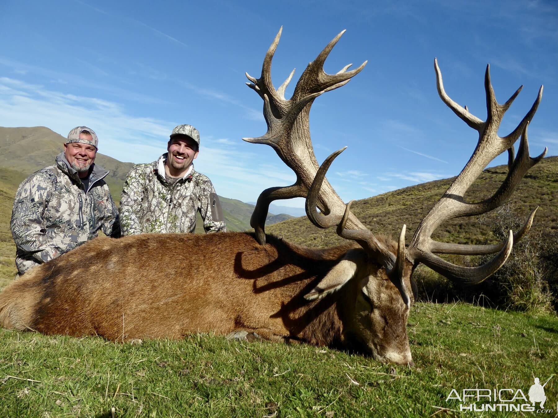 Hunt 411" Inch Red Stag in New Zealand