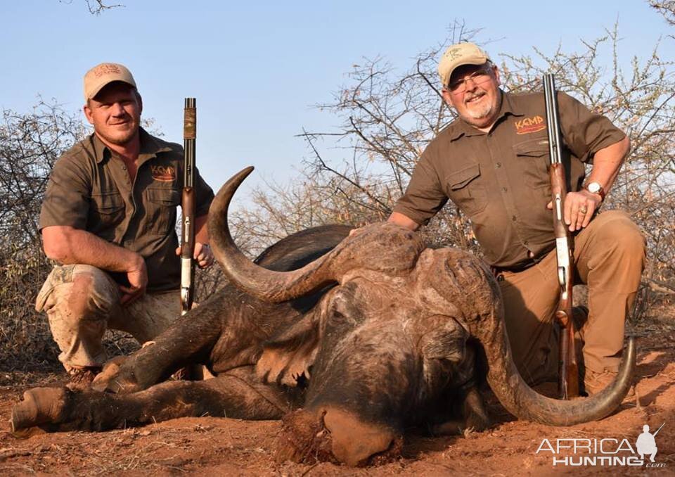 Hunt 43" Inch Cape Buffalo in South Africa