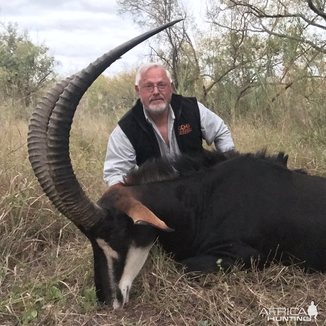 Hunt 43" Inch + Sable Antelope in South Africa