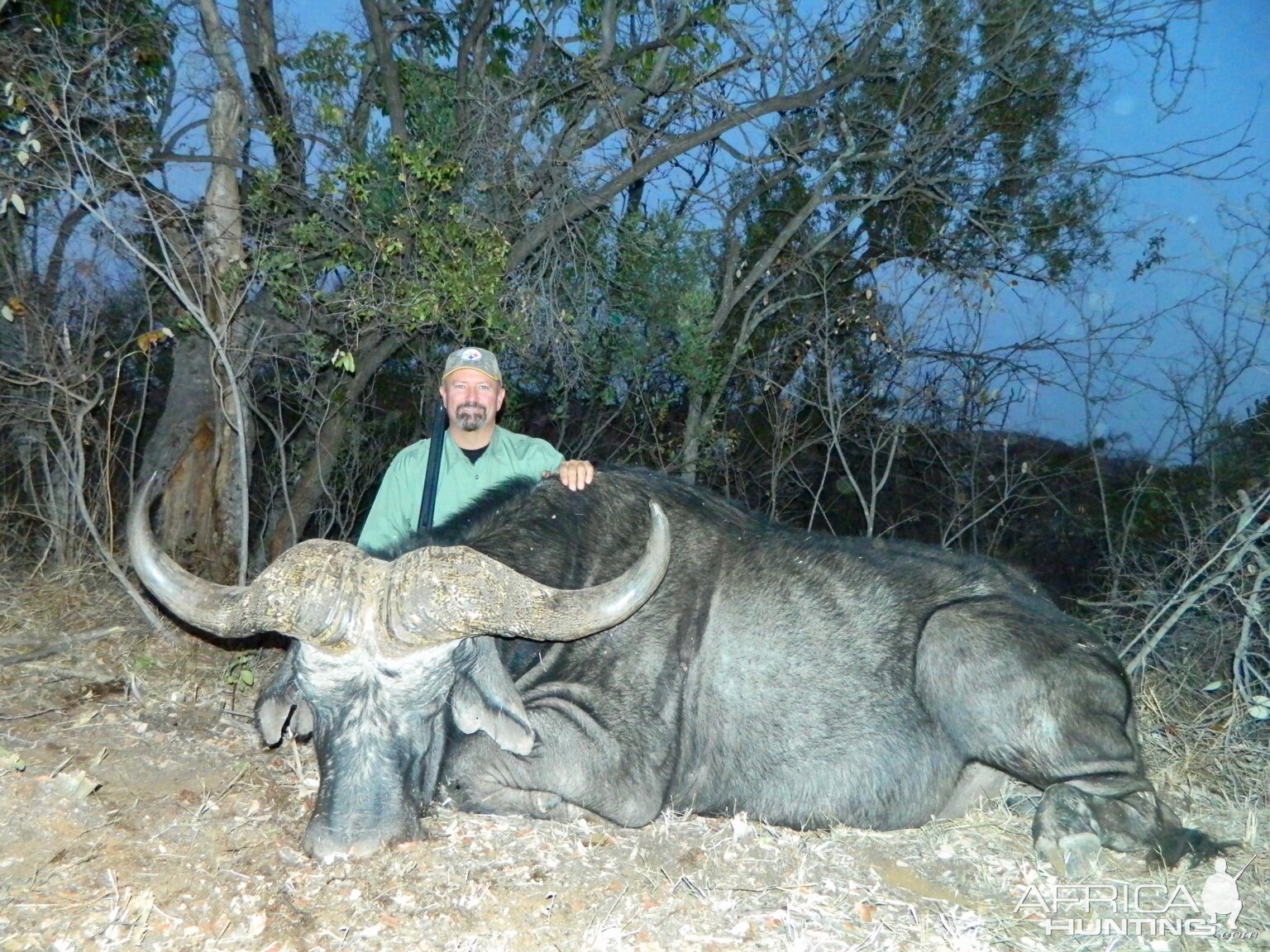 Hunt 47” Cape Buffalo