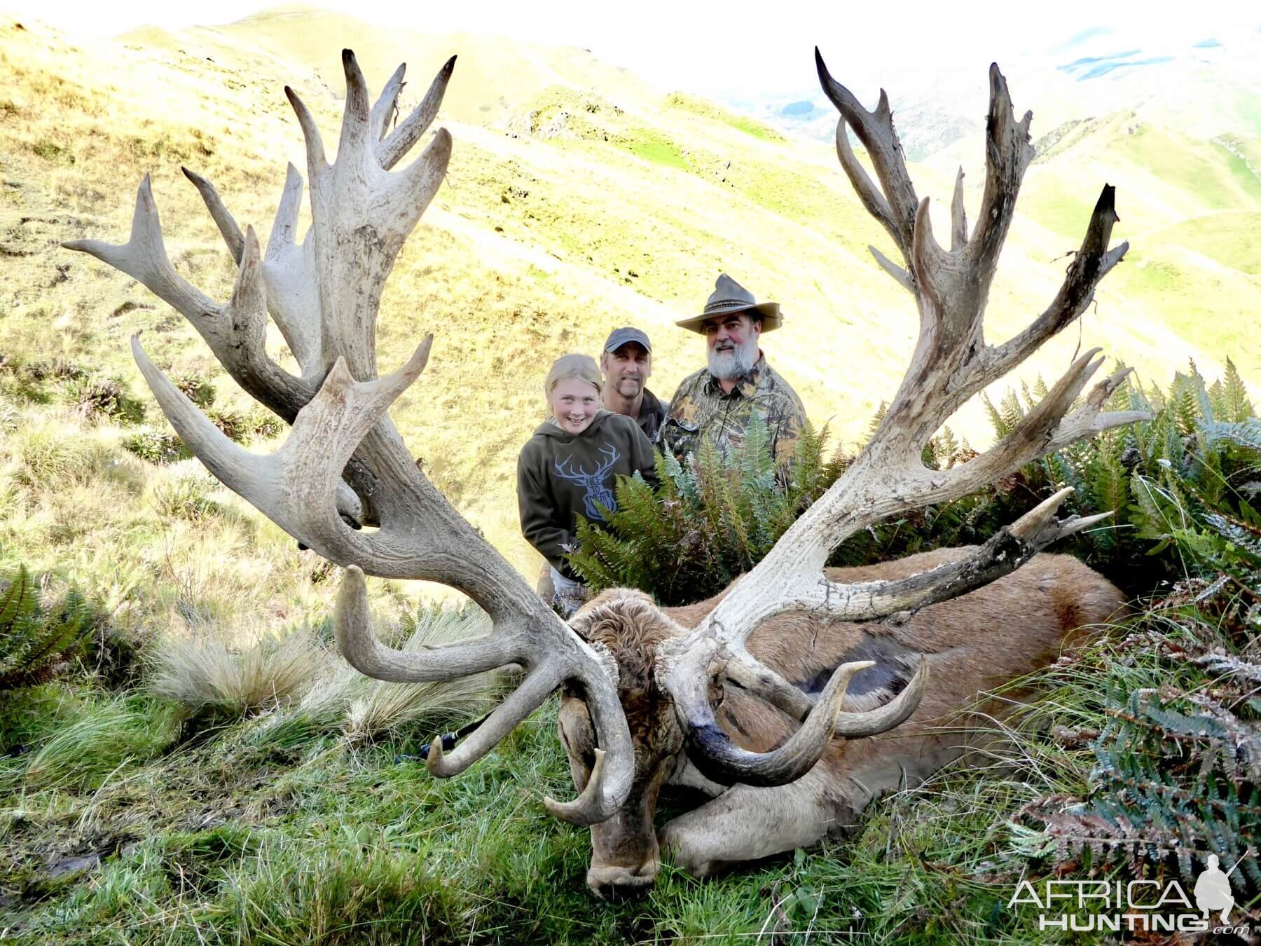 Hunt 608" Inch Red Stag in New Zealand