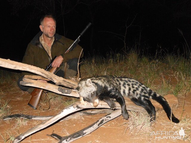 Hunt African Civet