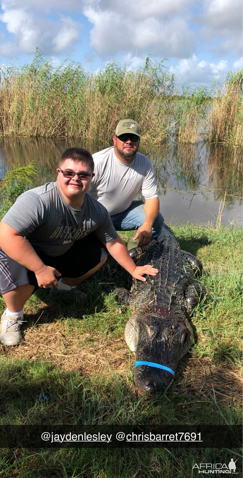 Hunt Alligator in Little Texas USA