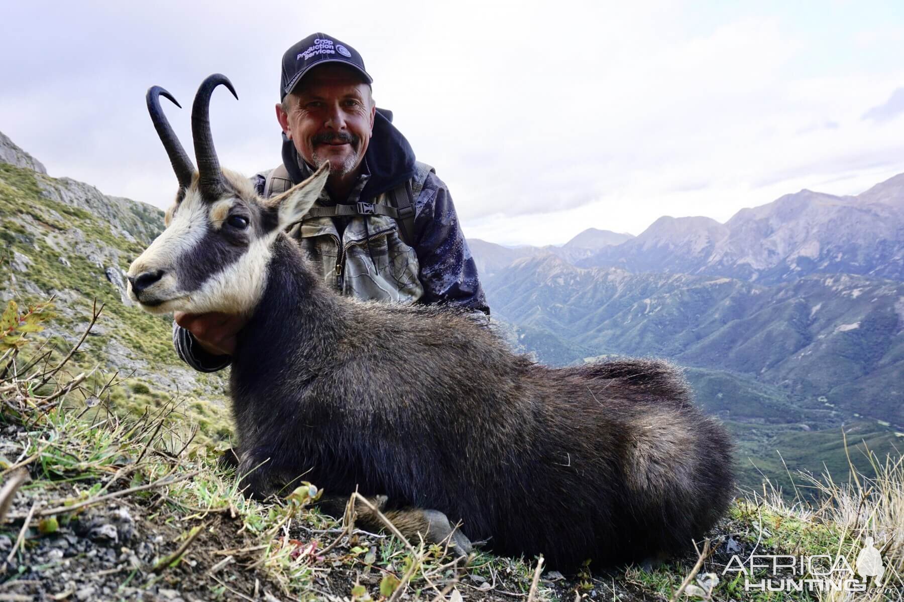 Hunt Alpine Chamois in New Zealand