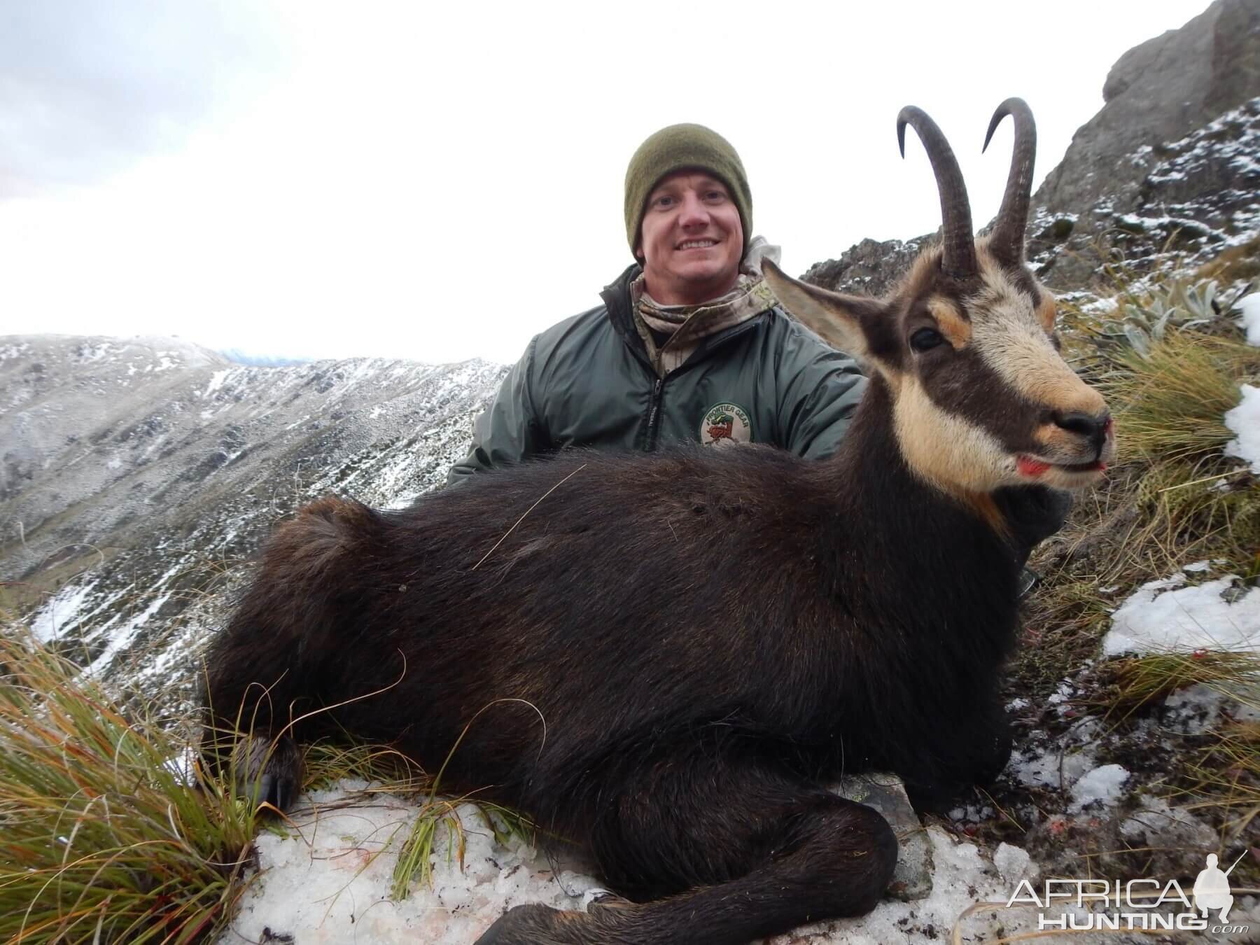 Hunt Alpine Chamois in New Zealand