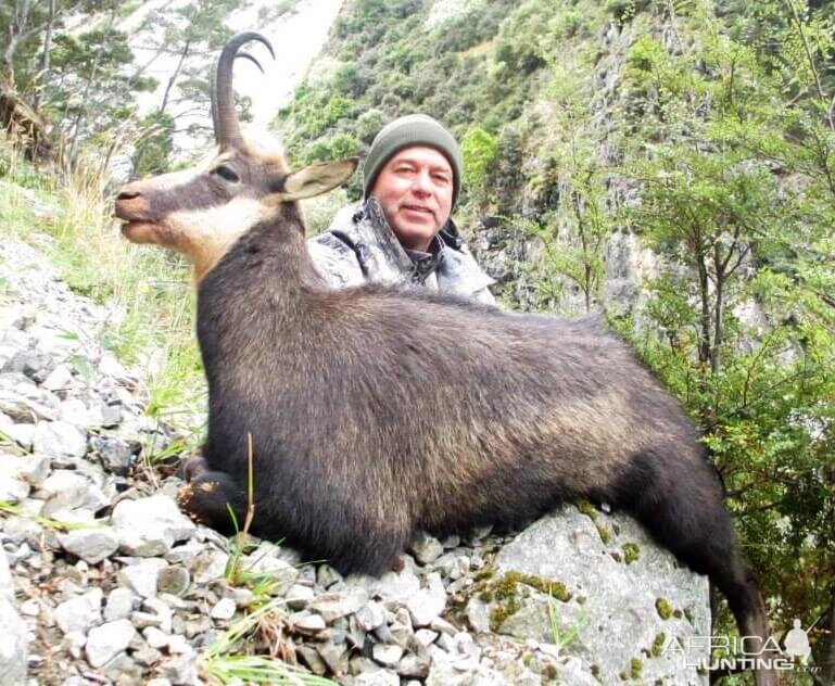 Hunt Alpine Chamois in New Zealand