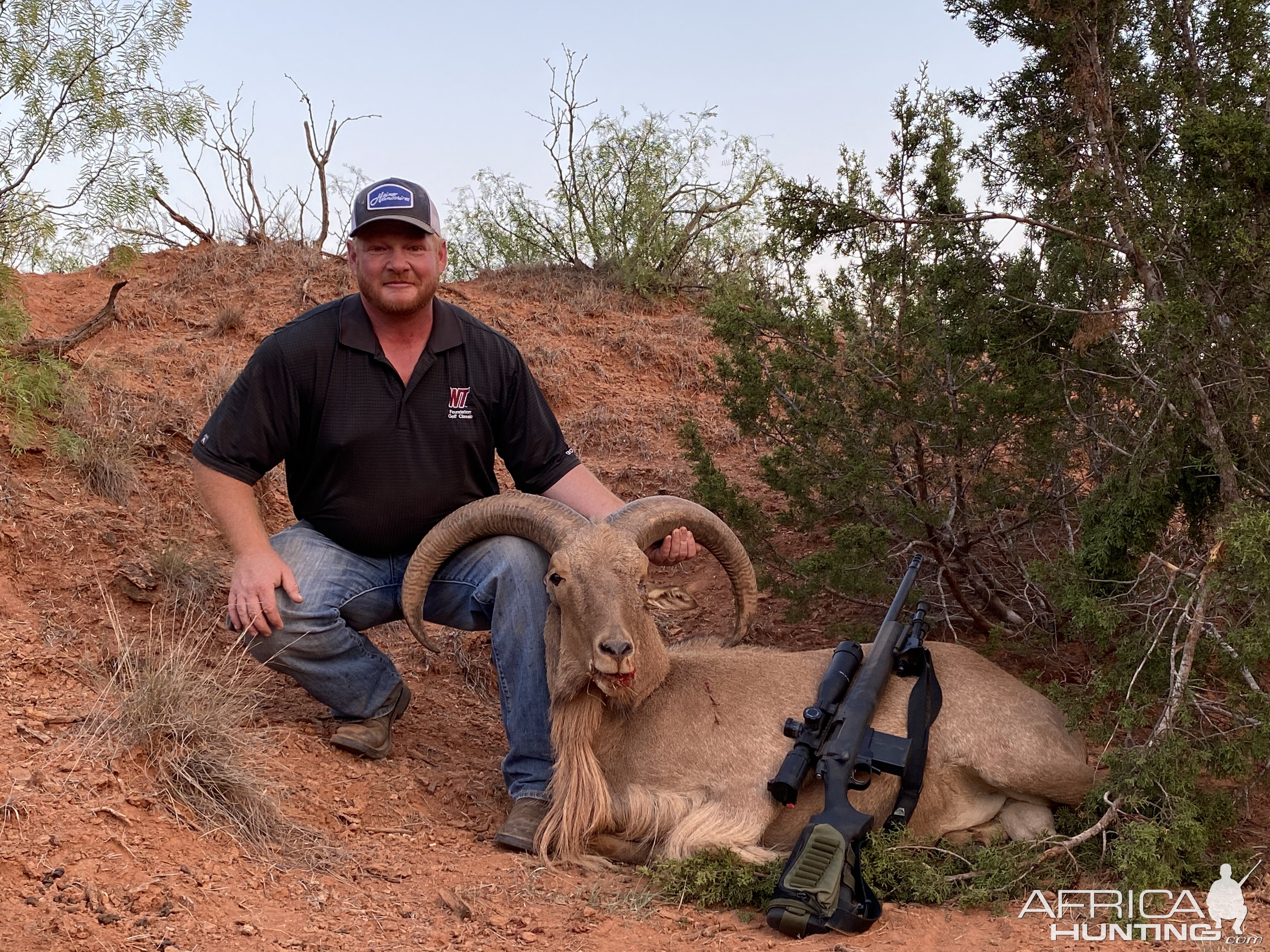 Hunt Aoudad in Texas USA