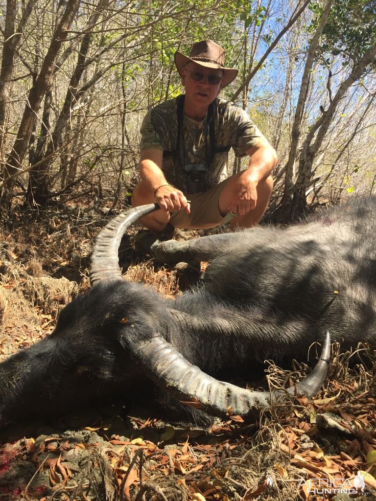 Hunt Asiatic Water Buffalo in Australia