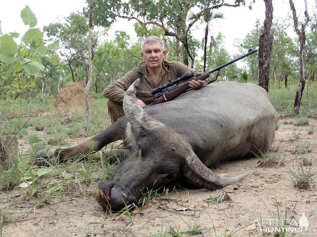 Hunt Asiatic Water Buffalo in Australia