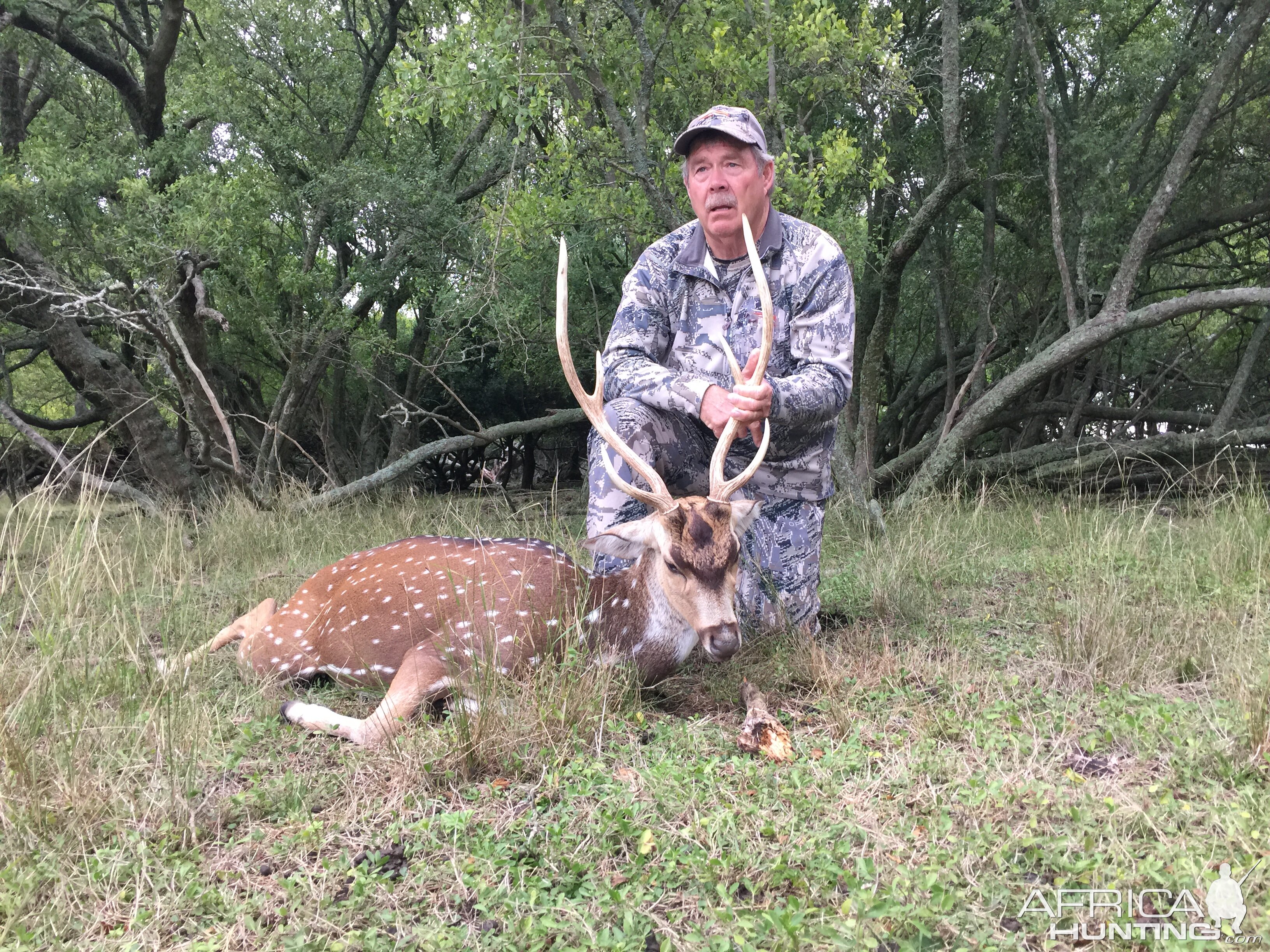 Hunt Axis Deer in Argentina