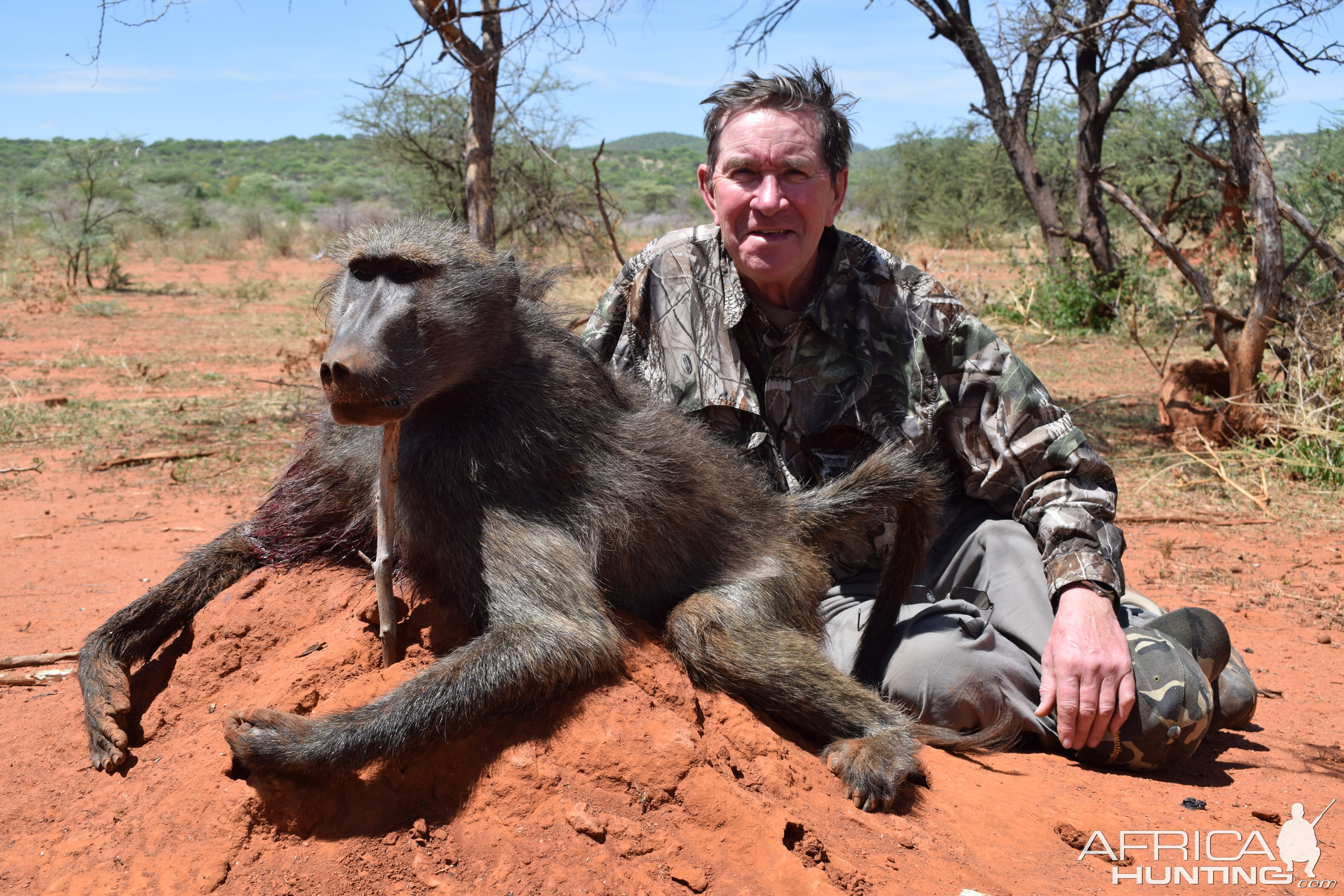 Hunt Baboon in Namibia