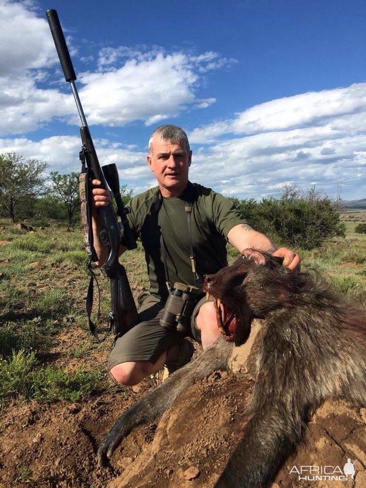 Hunt Baboon in South Africa