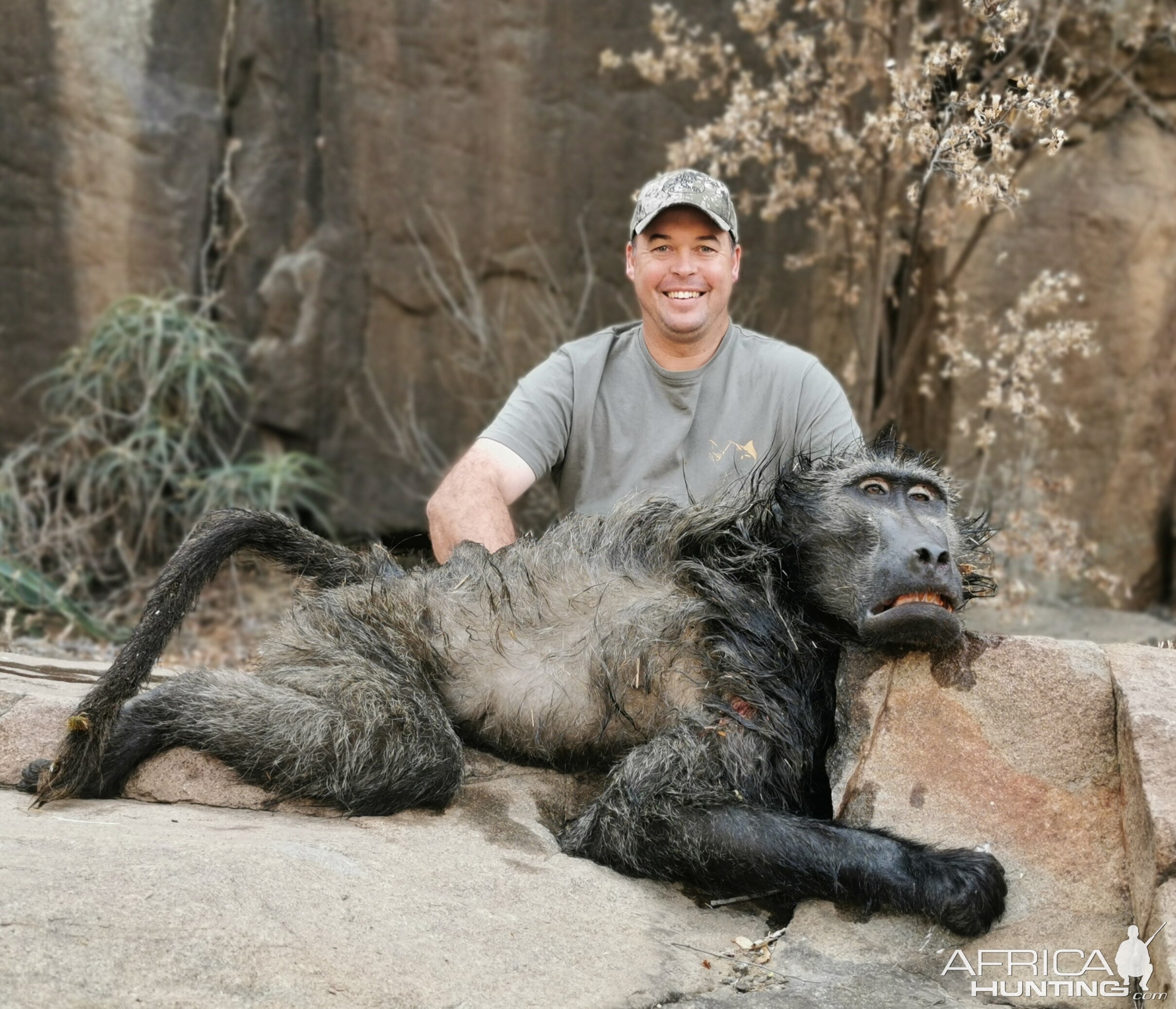 Hunt Baboon in South Africa