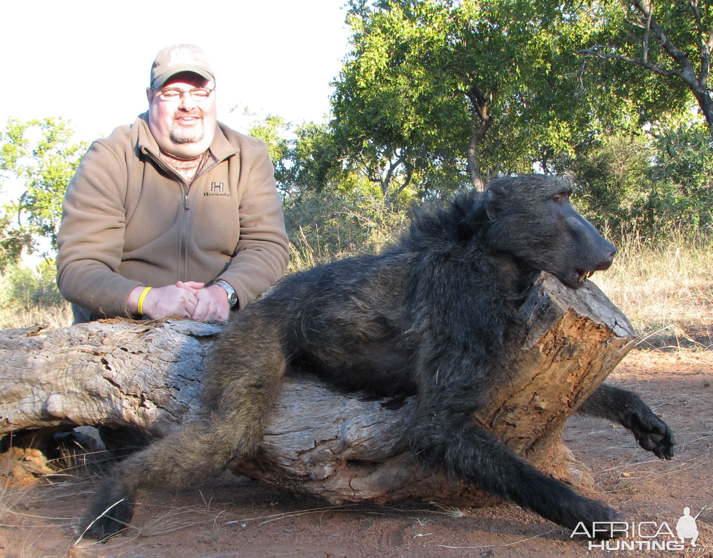 Hunt Baboon South Africa