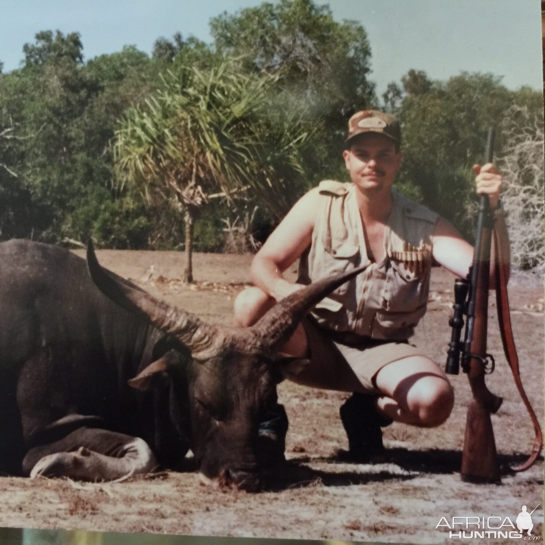 Hunt Banteng in the Northern Territory, Australia